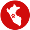 provincia-1-100x100 provincia-1-100x100